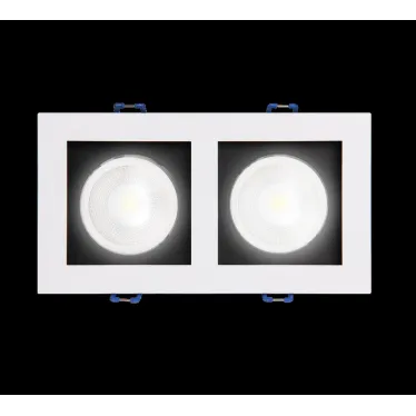 Светильник светодиодный ДВО-212 2x8W 4000K 55 град. белый карданный IP40