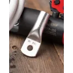 Наконечник медный луженый ТМЛ DIN 120-10 PROxima