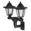 Светильник садовый на солнечной батарее пластик черный 150 см ERASV01-01