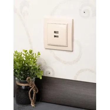 Розетка Минск USB 2-местная СП 2,1А бежевая