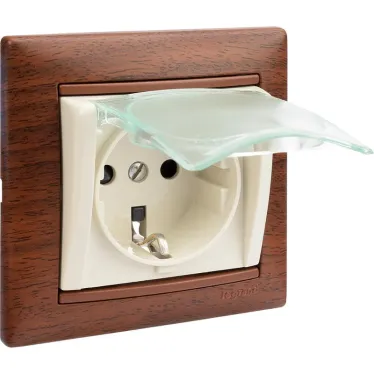 VALENA Розетка с заземлением со шторками с крышкой в рамку слоновая кость