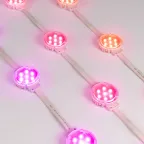 Модуль управляемый SPI-F7-D50 24V RGB-RAM-Auto (1.25W, IP68, 120 deg) (Arlight, Пластик, 3 года) | 036826 | Arlight