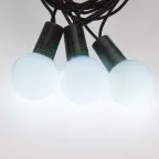 Гирлянда "Мультишарики" Ø25 мм 5м, темно-зеленый ПВХ, 25 диодов, цвет Белый | 303-555 | NEON-NIGHT