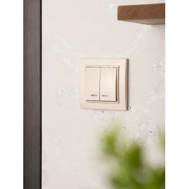 Выключатель двухклавишный СП Минск с индикатором 10А бежевый