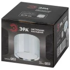 Светильник настенно-потолочный спот OL39 CH под GX53 IP20 хром