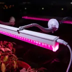 Кронштейн для фитоламп и фитосветильников FITO-Hanger на присоске