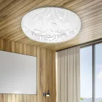 Светильник потолочный Классик без ДУ SPB-6 - 12 Onyx светодиодный 12Вт