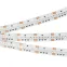 Лента RT-G240-12mm 24V RGB (18 W/m, IP20, 3838, 5m) (, Открытый)