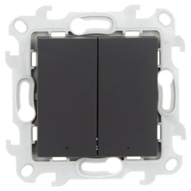 Выключатель двухклавишный с подвсеткой, графит