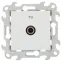 Розетка ТВ одиночная, белый