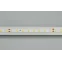 Лента LED RT 2-5000-50m 24V Warm2700 (2835, 80 LED/m, LUX) (ARL, 6 Вт/м, IP20)