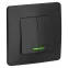BLANCA скрытой установки двухклавишный выключатель (cх.5) с подсв., 10A, 250B, антрацит