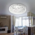 Светильник потолочный светодиодный SPB-6-24-6,5K Syuzi 24Вт 6500K