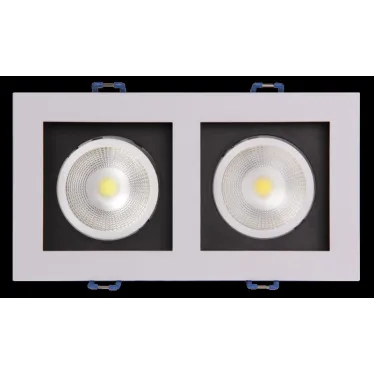 Светильник светодиодный ДВО-212 2x8W 4000K 55 град. белый карданный IP40