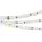 Лента RT-A60-8mm 12V Warm2700 (4.8 W/m, IP20, 2835, 5m)