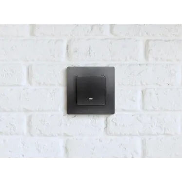 Выключатель одноклавишный, с подсветкой/индикацией, автоматические клеммы 10 AX 250