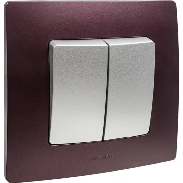 ETIKA Выключатель двухклавишный автоматические клеммы 10 AX 250 В алюминий