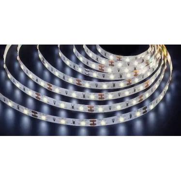 Лента светодиодная LEDx60/м 5м 4.8Вт/м 12В Pro дневной