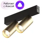 Светильник акцентный SMART SPOT DOUBLE 2х9 Вт DIM 3000 К-6000 К матов. зол. с черн. DENKIRS DK8012-BG