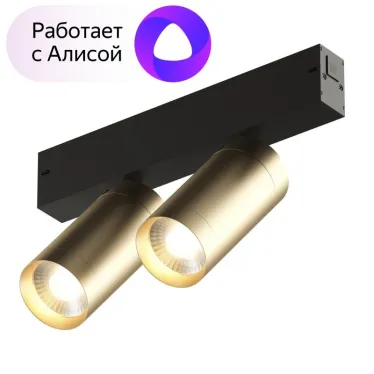 Светильник акцентный SMART SPOT DOUBLE 2х9 Вт DIM 3000 К-6000 К матов. зол. с черн. DENKIRS DK8012-BG