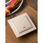 Выключатель одноклавишный СП Минск с индикатором 10А бежевый