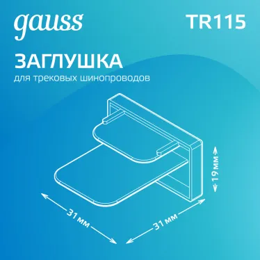 Заглушка для трекового шинопровода осветительного черный | TR115 | Gauss