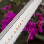 Линейный светильник красно-синего спектра FITO-14W-Т5-N (30/840)