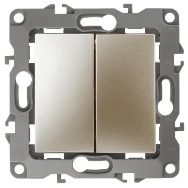 Выключатель двойной, 10АХ-250В, Эра12, шампань,12-1104-04