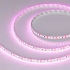 Лента RT-A120-8мм 12V Pink (9.6 W/m, IP20, 2835, 5м) (Открытый)