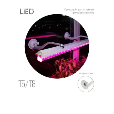 Кронштейн для фитоламп и фитосветильников FITO-Hanger на присоске