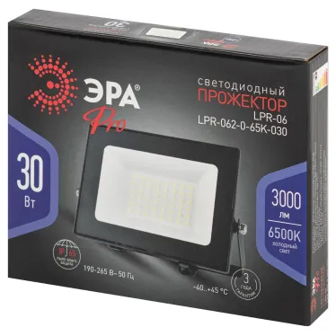 Прожектор светодиодный уличный 30Вт 6500К 3000лм IP65 призма PRO LPR-062-0-65K-030 ЭРА