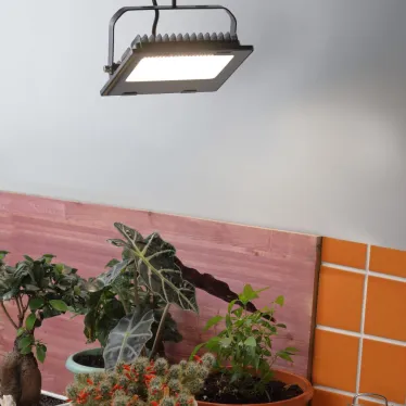 Прожектор светодиодный для цветения и плодоношения FITO-50W-Ra90-LED (10/300)
