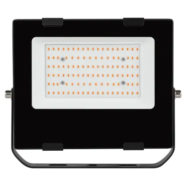 Прожектор красно-синего спектра FITO-50W-RB-LED