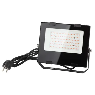 Прожектор красно-синего спектра FITO-50W-RB-LED