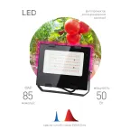 Прожектор красно-синего спектра FITO-50W-RB-LED