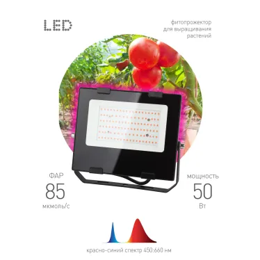 Прожектор красно-синего спектра FITO-50W-RB-LED