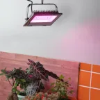 Прожектор красно-синего спектра FITO-50W-RB-LED