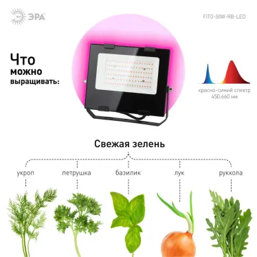 Прожектор красно-синего спектра FITO-50W-RB-LED