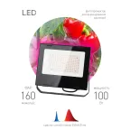 Прожектор красно-синего спектра FITO-100W-RB-LED
