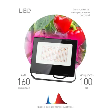 Прожектор красно-синего спектра FITO-100W-RB-LED