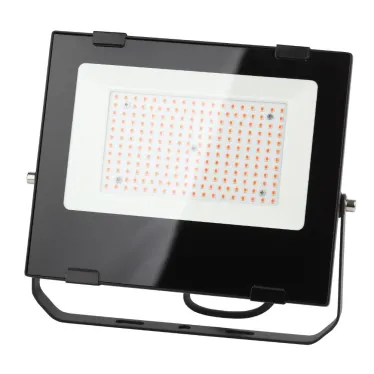 Прожектор красно-синего спектра FITO-100W-RB-LED