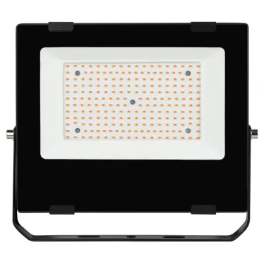 Прожектор красно-синего спектра FITO-100W-RB-LED
