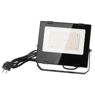 Прожектор красно-синего спектра FITO-100W-RB-LED