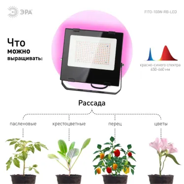 Прожектор красно-синего спектра FITO-100W-RB-LED