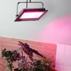 Прожектор красно-синего спектра FITO-100W-RB-LED