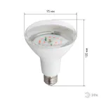 Лампа светодиодная лампа для рассады тип А60,FITO-16W-RB-E27-K 16 Вт, 220-240V