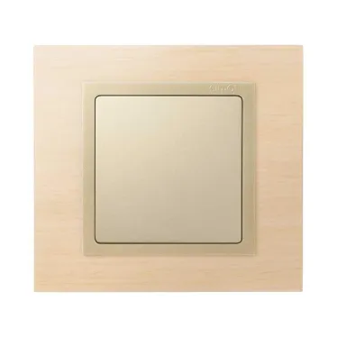 Заглушка, S82,82N, шампань