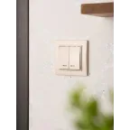 Выключатель двухклавишный СП Минск с индикатором 10А бежевый