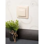 Розетка Минск 1-местная СП с заземлением с крышкой 16А бежевая с защитными шторками IP44