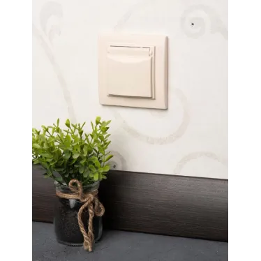 Розетка Минск 1-местная СП с заземлением с крышкой 16А бежевая с защитными шторками IP44